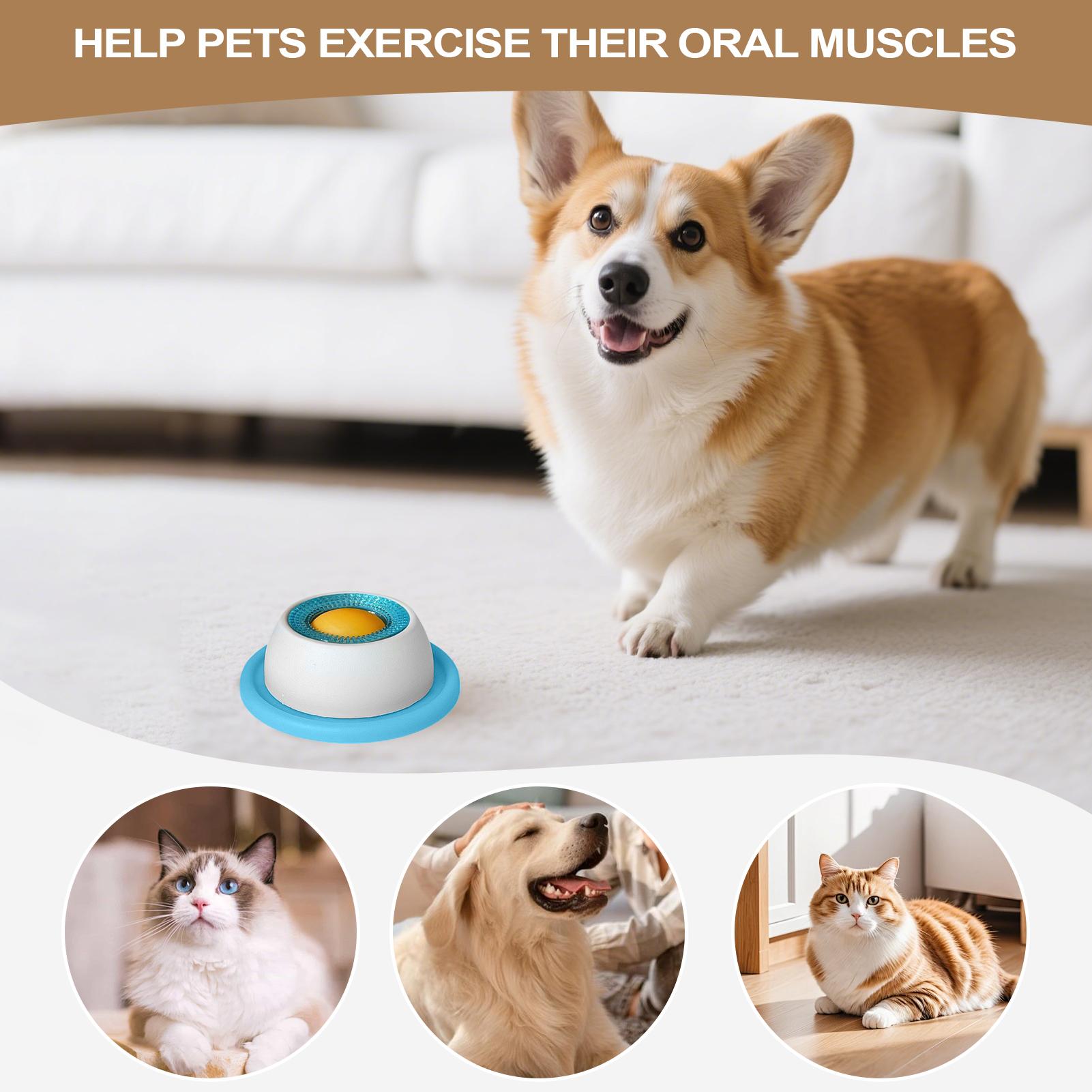 Giocattolo per cani, accessori - Health Wellness Items recensione e prezzo